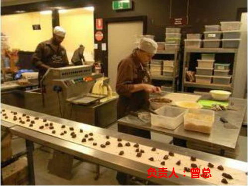 探索海外就業(yè)機(jī)遇 常州赴德國(guó)勞務(wù)與挪威清真食品廠(chǎng)招聘解析