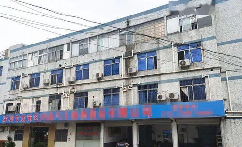 東莞一工廠遭遇“螞蟻搬家式”盜竊，12萬元清真食品不翼而飛，疑有內(nèi)鬼參與