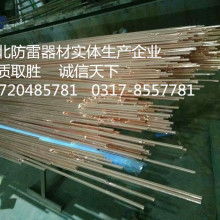 新昌縣威科特防電防雷器材廠 銅包鋼接地棒與防雷專家的守護(hù)者